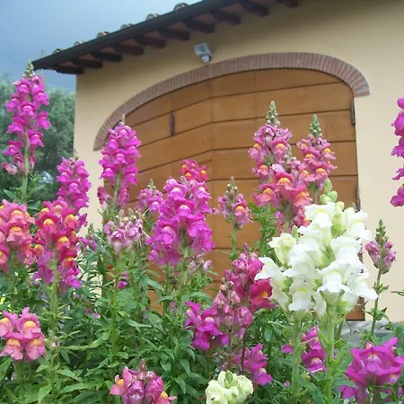 La Casa Dei Limoni Lejlighed