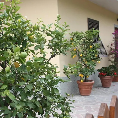 La Casa Dei Limoni Apartment