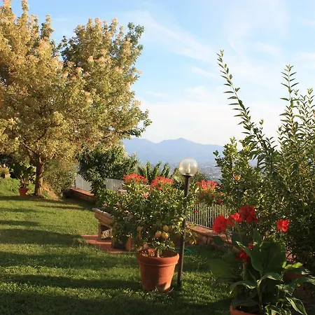 La Casa Dei Limoni Apartment
